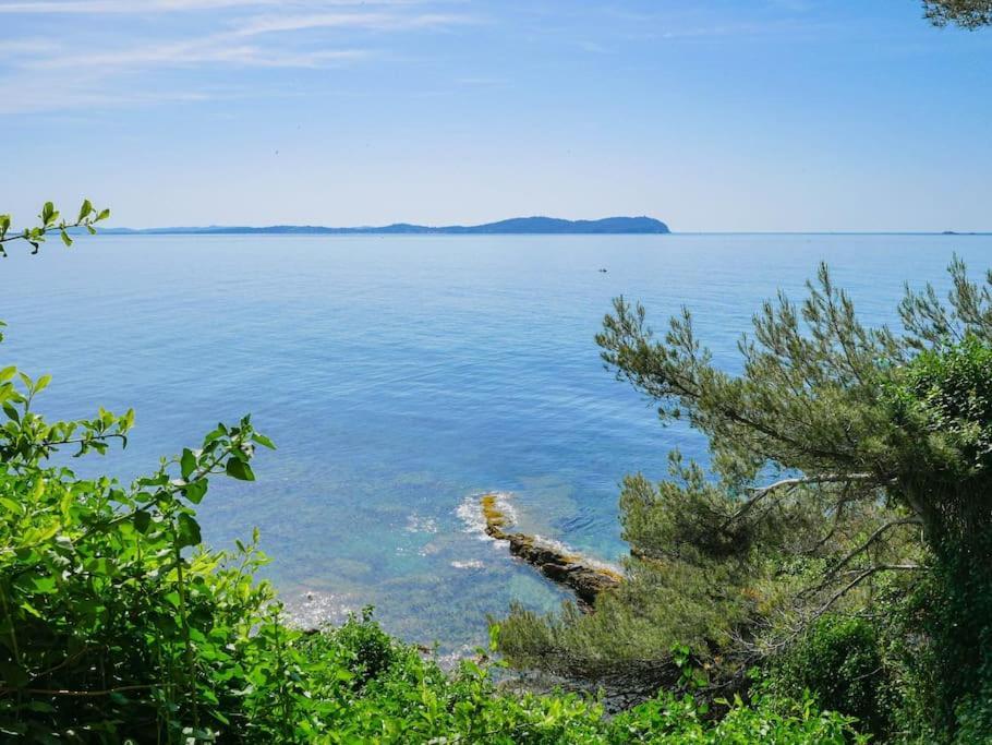 Maisonnette Avec Vue Sur La Mer Exceptionnelle Carqueiranne Eksteriør billede