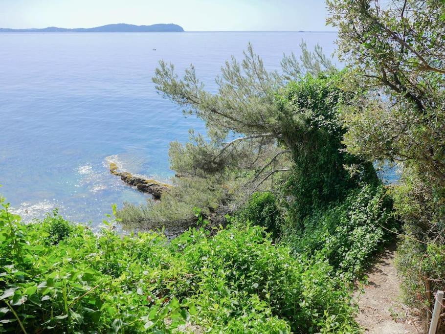 Maisonnette Avec Vue Sur La Mer Exceptionnelle Carqueiranne Eksteriør billede