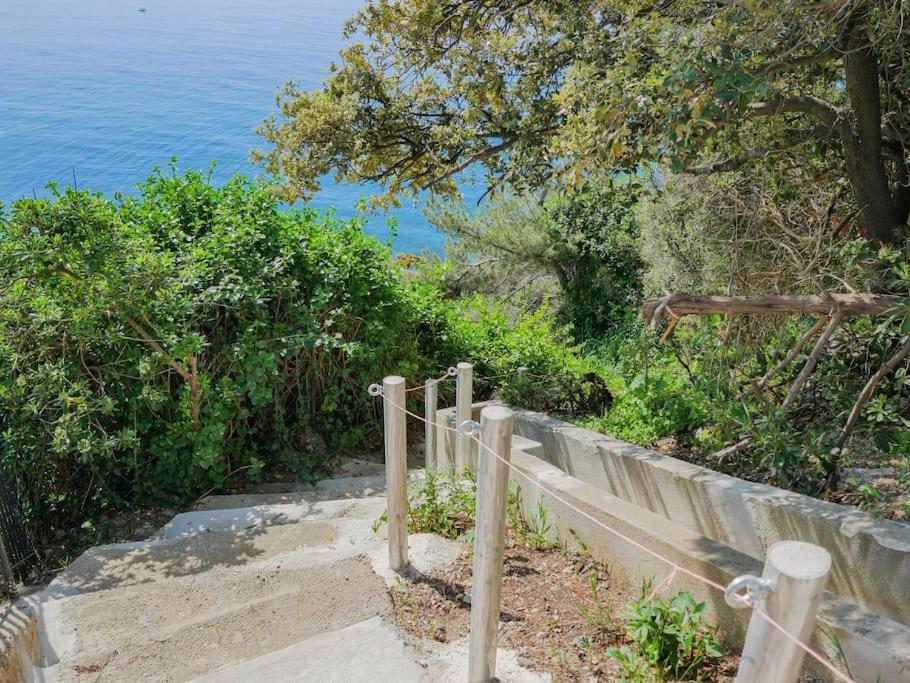 Maisonnette Avec Vue Sur La Mer Exceptionnelle Carqueiranne Eksteriør billede